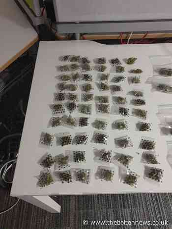 Police officers find cannabis farm after investigating violent break in