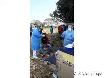 MINSA realiza hisopados a jornaleros que se trasladan a Los Santos - El Siglo Panamá