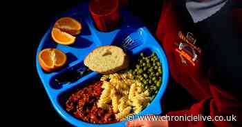 Council defends £400,000 cut to free school meals