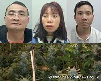 JAILED: Family who made thousands from cannabis farm network