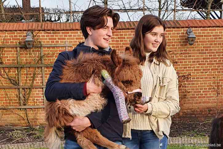 Zorgenkindje Ponkey was iedereens favoriet, maar het hart van de Shezelveulen was letterlijk te groot geworden