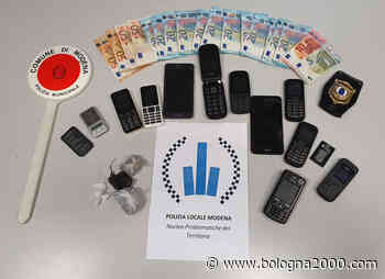 Modena, prepara la droga in garage: arrestato con l'aiuto di Pit, cane antidroga - Bologna 2000