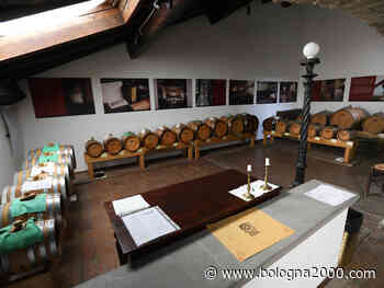 Riapre alle visite in sicurezza l'acetaia di Palazzo Comunale a Modena - Bologna 2000