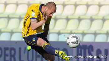 Modena Triestina 1-1: Luppi entra e segna - il Resto del Carlino