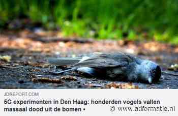 69% Nederlanders vindt nepnieuws grote zorg, vooral 'anderen' zijn goedgelovig