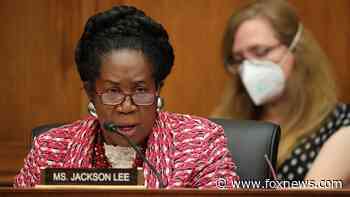 Gun control bill from Rep. Sheila Jackson Lee would create national firearm registry, require licensing