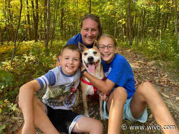 WNY rescue dog makes 70 mile journey to find his home