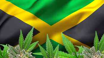 Jamaica Experiencing Marijuana Shortage Due to Drought and Pandemic