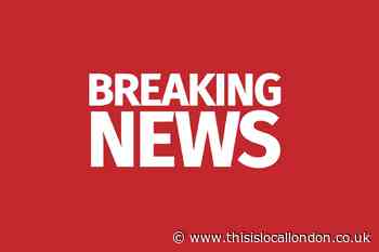 Croydon: Met Police says man stabbed to death in violent incidents