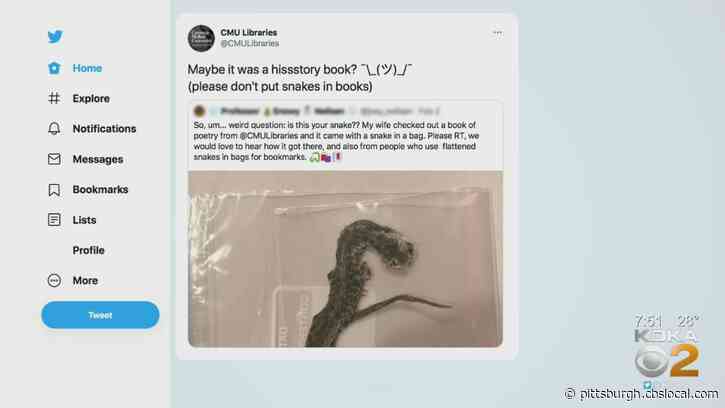 Snake In Bag Found In Poetry Book From Carnegie Mellon University Libraries