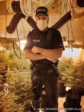 Accrington cannabis farm discovered and dismantled