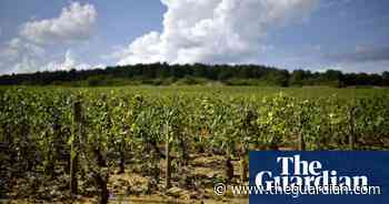 Weatherwatch: discredited but still popular, enthusiasts keep faith in hail cannon
