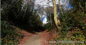 Lockdown friendly walks in the North East you can take this weekend