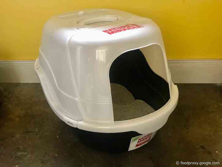 The 6 best cat litter boxes we reviewed in 2021