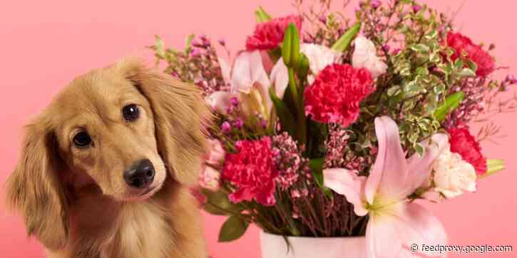 The 50+ best Valentine's Day 2021 deals you can shop now, including discounts on flowers and candy