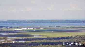 Ford government's plan for building new highway puts Holland Marsh at risk, critics say
