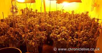 Police seize more than £2m worth of drugs in raids