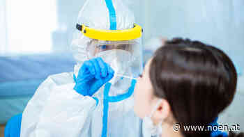 NÖN.at-Überblick - Bezirk Neunkirchen: Teststraßen-Angebot ausgeweitet - NÖN.at