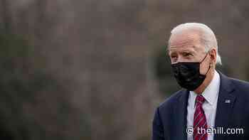Biden doubles down on normal at White House