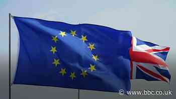 Brexit: Some businesses 'benefitting' from NI Protocol