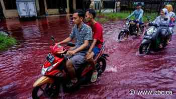 Flooding turns Indonesian village waters red with factory dye