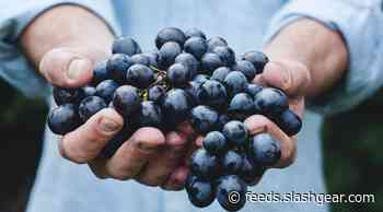 Eating grapes may be a surprising way to reduce UV skin damage