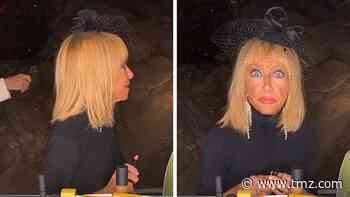 Suzanne Somers' Makeup Live Stream Hijacked by Home Intruder