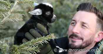 ADVERTORIAL: Meet the adorable baby goats born at an animal sanctuary near Morpeth