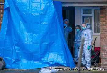 Summary as 'abhorrent' wave of stabbings hits South London