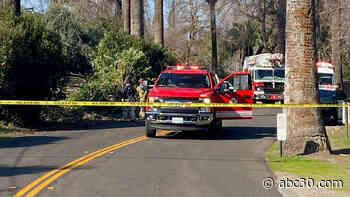 Driver dies after crashing into tree in southeast Fresno