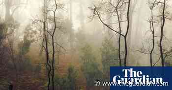 Dust bowls and deluges: the harsh beauty of South Australia