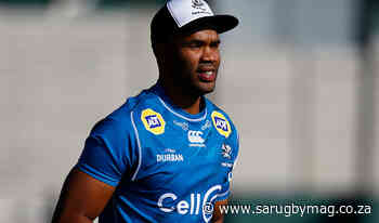 JP Pietersen retires, confirms coaching role at the Sharks - SARugbymag