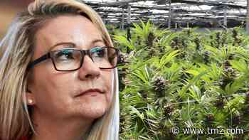 VA Senator Warns of Marijuana 'Overdoses & Deaths,' Legalization Nears