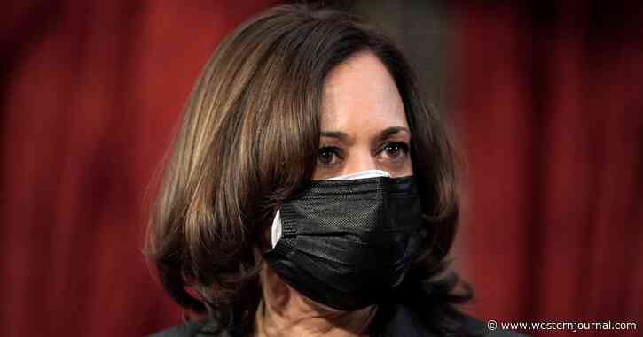 Program Championed by Kamala Let Alleged Violent Rioter Walk Free Twice – Now Look What Authorities Say He’s Done