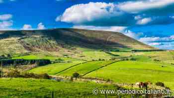 Gli alieni ci evitano perchè “siamo stupidi” e detestano “l’erba verde”. Le bizzarre tesi dell’astronomo - Periodico Italiano