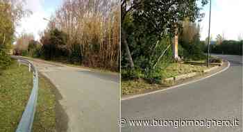 Sassari: al via il taglio dell'erba delle pertinenze stradali - Si comincia da Tottubella - BuongiornoAlghero.it