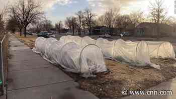 Man invites homeless people to live in his front yard
