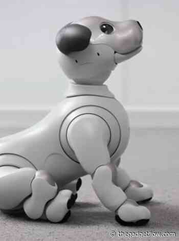 Top 5 robots you can buy for your home today - Gadget Flow