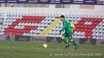 UFFICIALE - Foggia, ceduto Vitali al Matelica - TuttoCalcioPuglia.com
