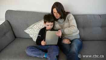 Online schooling provides parents with small window into world of teaching