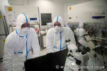 UK vaccine gambles paid off, while EU caution slowed it down