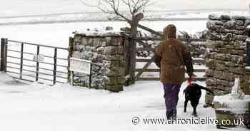 Storm Darcy LIVE: Weather updates as 'significant snowfall' is expected
