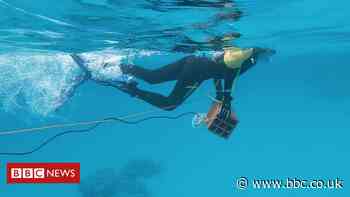 Noise pollution 'drowns out ocean soundscape'