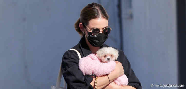 Lucy Hale's New Puppy Ethel Was Once Fostered by This Famous Actress!