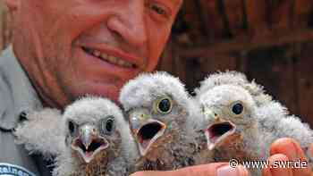Privat geführter Vogelpark Steinen kämpft ums Überleben - SWR