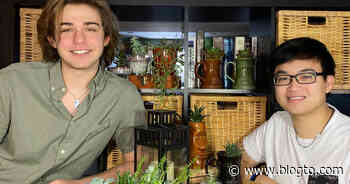Toronto university students beat lockdown boredom by starting plant business - blogTO