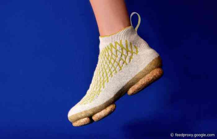 Sneature trainer made from knitted dog hair is fully compostable