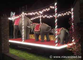 Olifanten voor de Sint (Wuustwezel) - Het Nieuwsblad