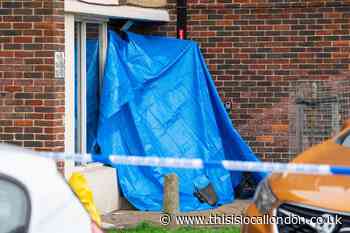 22-year-old stabbed to death in Croydon named locally