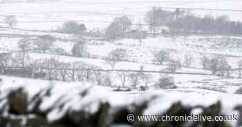 Heavy snow falls in the North East as Storm Darcy rages on across the UK